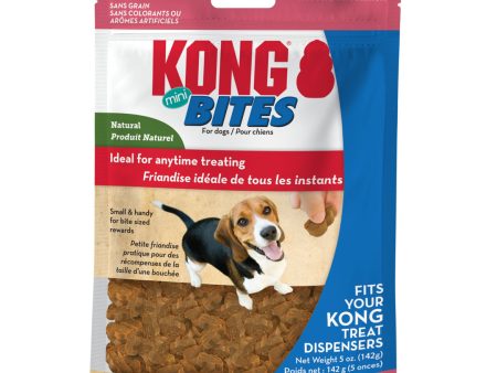 KONG Bites Dog Treats Mini Salmon 1ea 5 oz For Sale