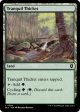 Tranquil Thicket [Bloomburrow Commander] Fashion