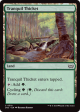 Tranquil Thicket [Duskmourn: House of Horror Commander] Discount